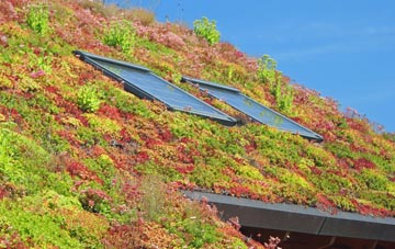 Climping living roof systems