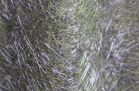 Climping fibreglass roof work